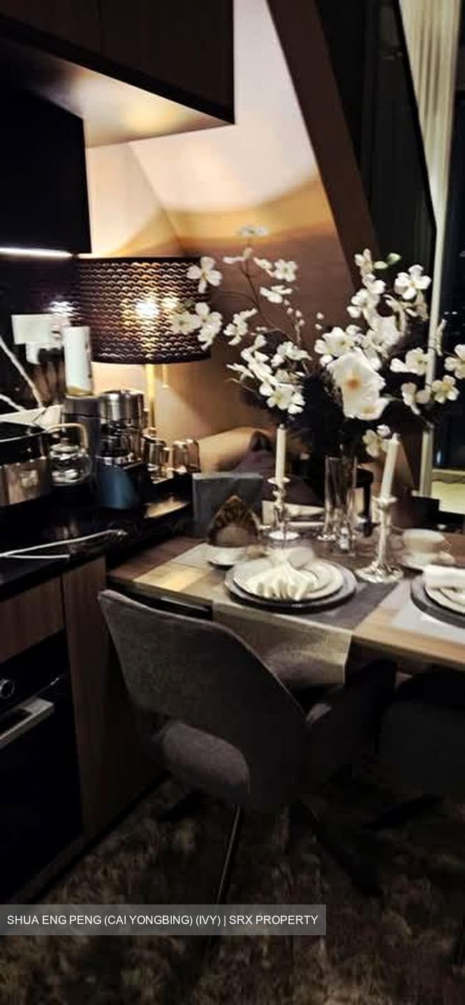 Irwell Hill Residences (D9), Apartment #563932961